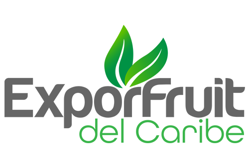 diseño de logotipos, logotipos, logos, icono visual, imagen corporativa, publicidad, agencia